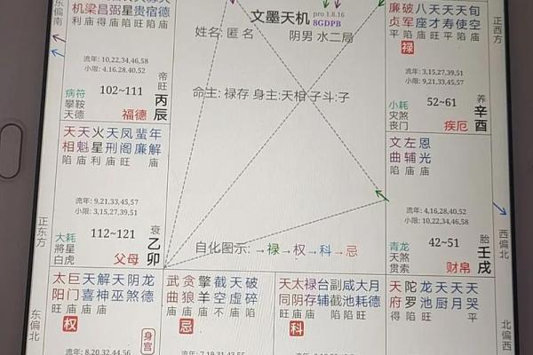 紫微斗数诸星落诸宫之：其它星父母宫详解