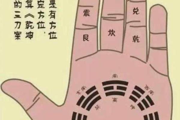 肚脐算命,哪种肚脐眼是富贵相 肚脐算命,哪种肚脐眼是富贵相