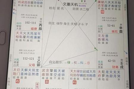 紫微斗数诸星落诸宫之：其它星父母宫详解