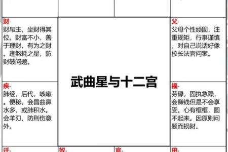 紫薇斗数如何排宫