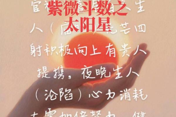 倪海厦推荐的紫薇斗数