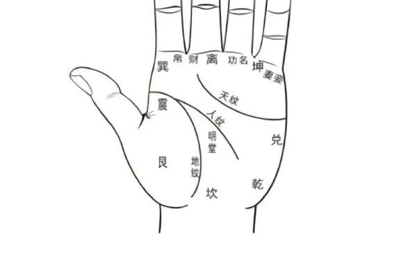 罕见的掌纹手相算命和图解