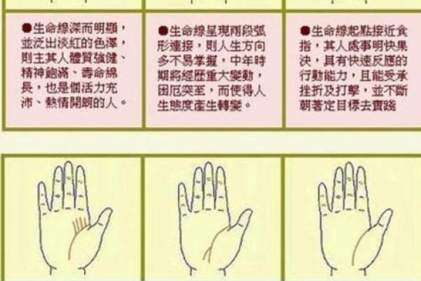 罕见的掌纹手相算命和图解