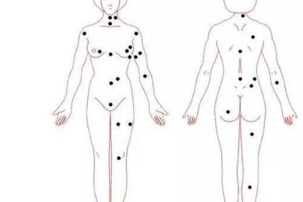 女人背部痣相图解算命 女人背部痣相图解算命