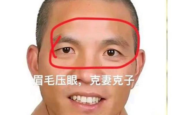 男人眉毛看相算命 男人眉毛看相算命