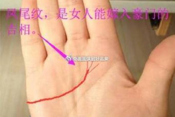 女性手掌感情线算命图解 感情线不清晰的人没有主见 女性手掌感情线算命图解 感情线不清晰的人没有主见
