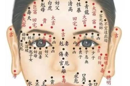 女人有黑观音痣 下巴的痣房屋多