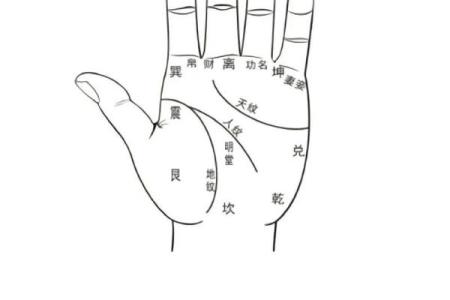 罕见的掌纹手相算命和图解