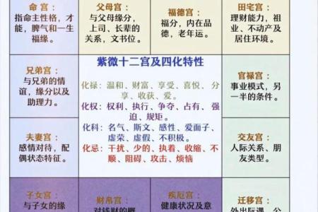 紫薇斗数中禄忌权科什么意思
