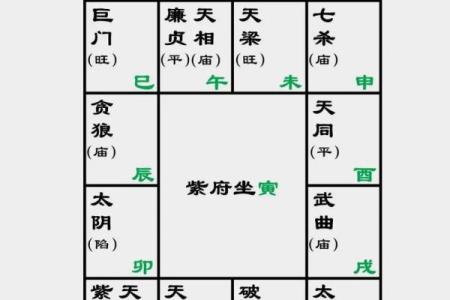 紫微斗数六大贵命命格详解