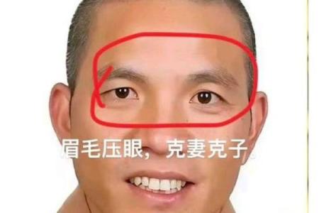男人眉毛看相算命