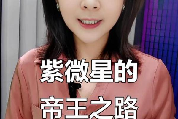 千千万万的紫薇星 千千万万的紫薇星