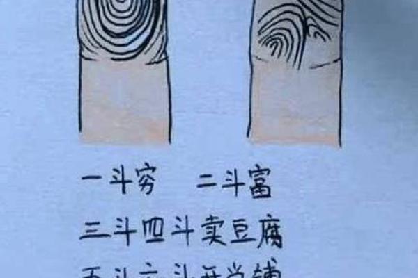 指纹算命图谱 指纹算命图谱