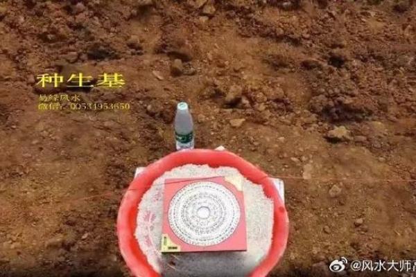 种生基一般风水师收多少钱 种风水师收多少钱 种生基一般风水师收多少钱 种风水师收多少钱