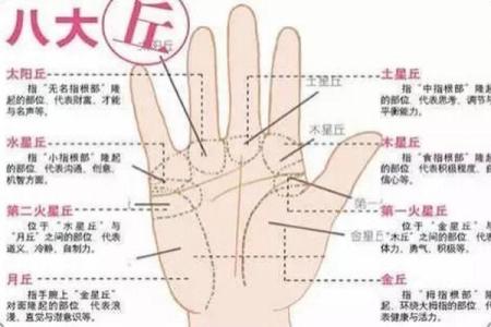 手相算命图解：3种手掌纹路看你是否能暴富，大富大贵享不尽