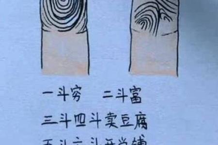 指纹算命图谱