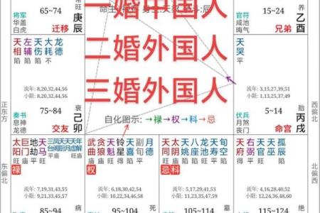 倒背如流：紫微斗数+八字（基础知识点）