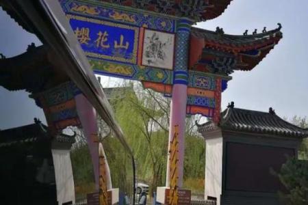 周村古商城算命,邹平算卦比较准的人