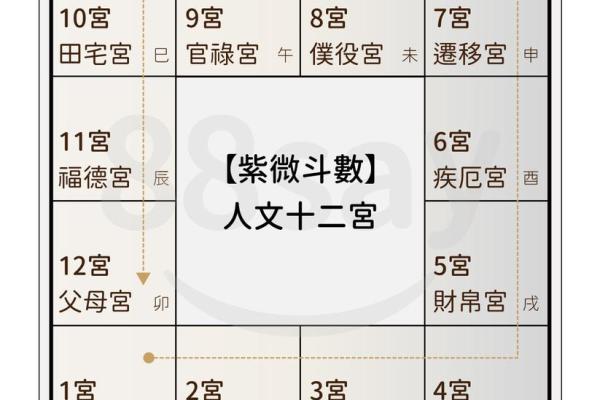 生长紫薇斗数 生长紫薇斗数