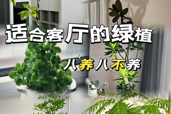 园林风水_家居养花有哪些禁忌 园林风水_家居养花有哪些禁忌