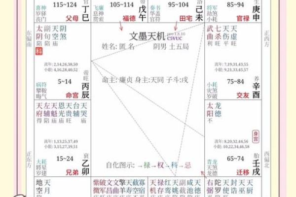 紫薇斗数全面分析的简单介绍 紫薇斗数全面分析的简单介绍
