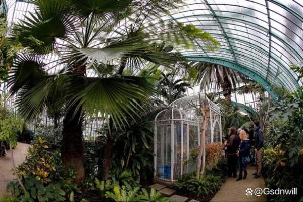玻璃房子风水植物图片 玻璃房子风水植物图片