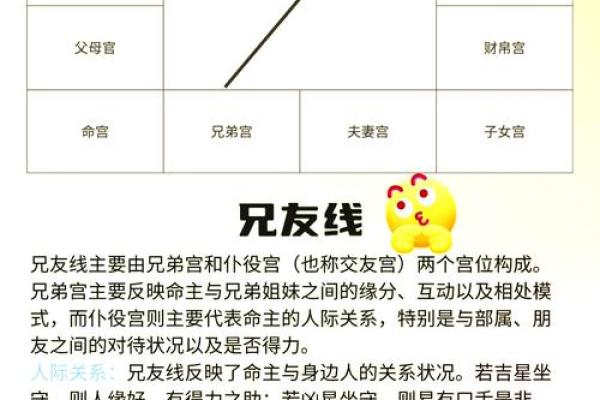 紫薇斗数怎样看流年考运好