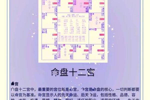 紫薇斗数综合详解 紫薇斗数综合详解