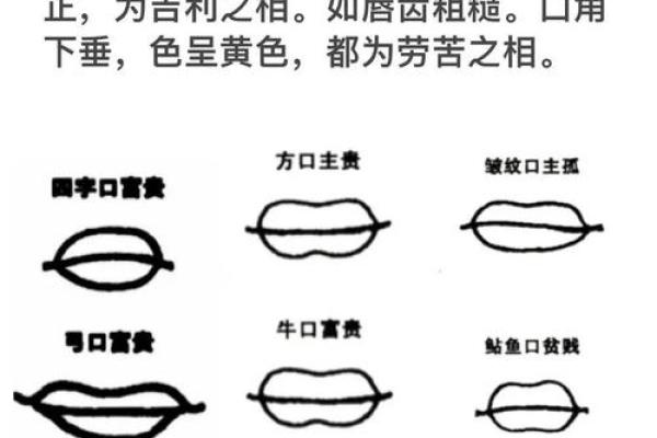 风水面相嘴唇薄的女人是不是很小气
