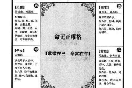 紫薇斗数无命格