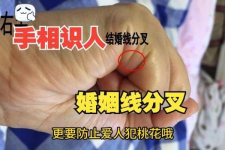 婚姻算命手相