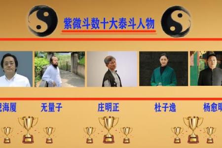 艺术紫薇斗数