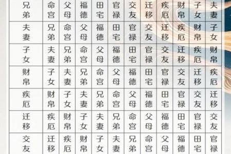紫薇斗数综合详解
