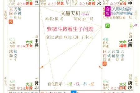 中国紫薇斗数每日运势