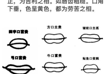 风水面相嘴唇薄的女人是不是很小气