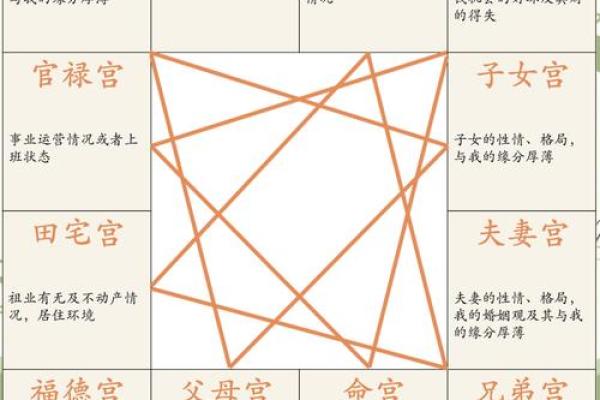 【紫微斗数】排盘技巧022:事业与财运分析 【紫微斗数】排盘技巧022:事业与财运分析