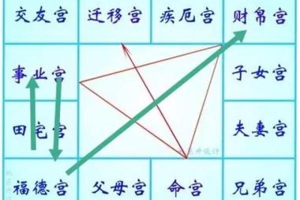 【紫微斗数】排盘技巧022:事业与财运分析 【紫微斗数】排盘技巧022:事业与财运分析