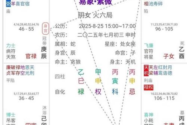 紫薇斗数马落空亡格 紫薇斗数马落空亡格