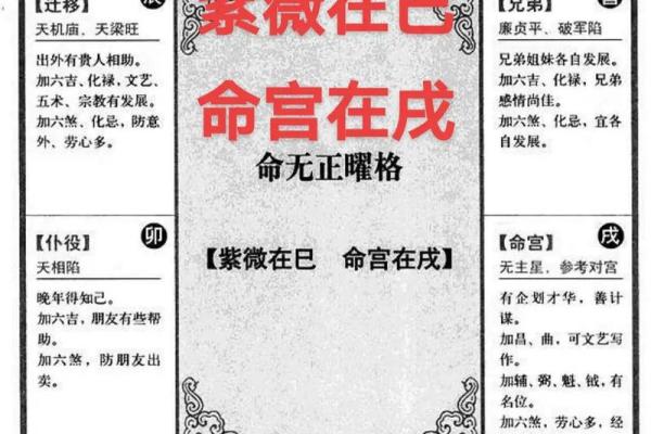 紫薇斗数豆瓣 紫薇斗数豆瓣