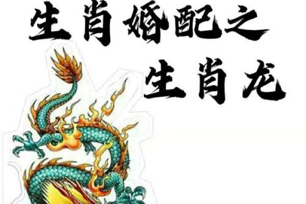 龙生肖配对姻缘 龙生肖配对排名? 龙生肖配对姻缘 龙生肖配对排名?