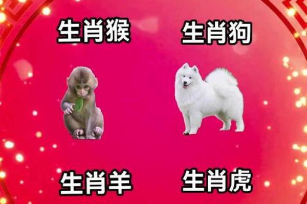 属猴和什么属相最配对 属猴和什么属相相冲