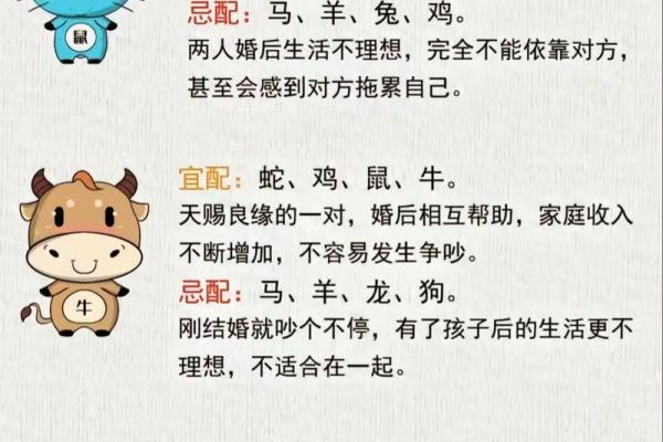 猪跟什么生肖配对最好 生肖猪最佳配对 猪跟什么生肖配对最好 生肖猪最佳配对