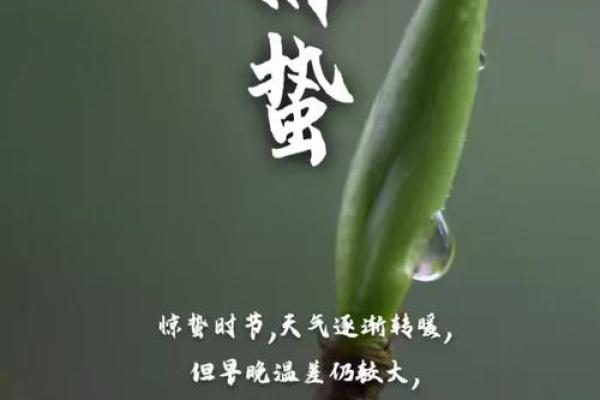 古人选择吉日为什么不选惊蛰那天,这是什么意思