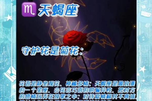十二星座代表的守护花都有哪些呢