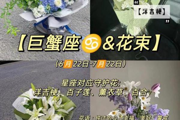 十二星座代表的守护花都有哪些呢