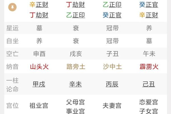 甲戌丙子己卯乙丑八字详解及运势分析