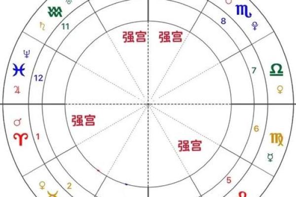 什么是紫薇星盘