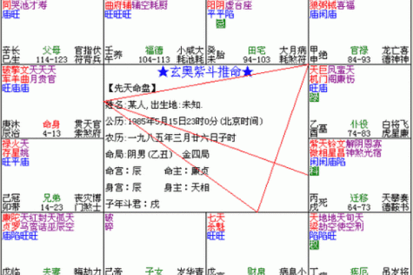 紫微斗数旺夫五种格局