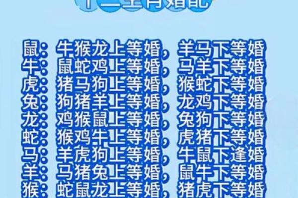 女马男蛇生肖配对姻缘 女马男蛇生肖配对姻缘