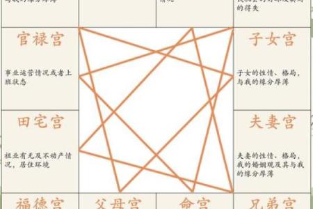 【紫微斗数】排盘技巧022：事业与财运分析